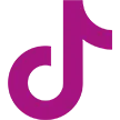 TikTok icon